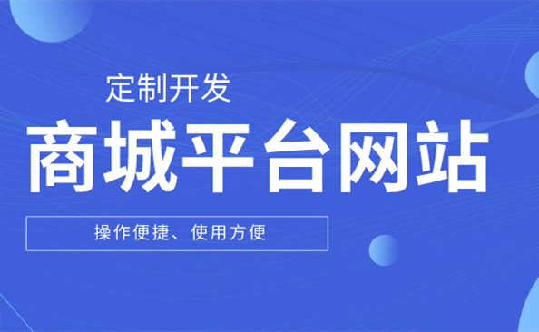 揭阳商城网站建设-世惠诚